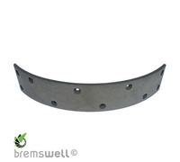 Bremsbelag 350x60 10 Loch 6x10 für Peitz Espe BPW Zapp Achsen