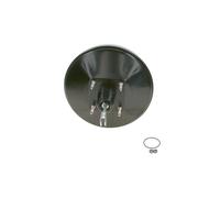 BOSCH | Bremskraftverstärker | 0 204 125 910