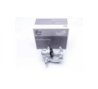 Bremssattel Hinterachse links (1-Kolben) 42SKV603 ESEN SKV für BMW 3 1 3 Coupe