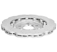 SHW Performance Bremsscheibe