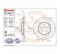 Bremsscheibe Brembo Xtra Line Brembo 09.8665.1X 1 Stück für Ford Mondeo Iii B5Y