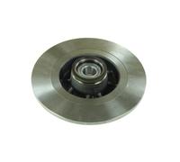 Bremsscheibe DELPHI BG9030RS hinten, voll, 1 Stück
