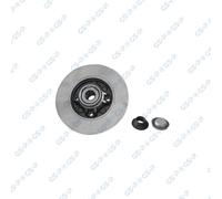 GSP 2x Bremsscheibe hinten Ø249 mm für Peugeot 308 I 4A_ 4C_ 1.6 16V 1.4 4B_