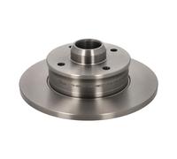 BREMSSCHEIBEN SATZ HINTEN FÜR POLO 6N PASSAT B3 B4 GOLF 3 CORRADO VENTO VAICO