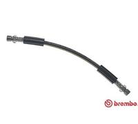 Flexibler Bremsschlauch T 85 044 BREMBO für VW KAEFER Cabriolet KAEFER GOLF I