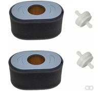Briggs and Stratton - 797033 - Luftfilter