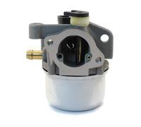 BRIGGS QUANTUM VERGASER BIS 02/2007 MIT STARTER