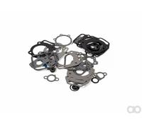 Briggs & Stratton - 793623 - Motordichtungssatz