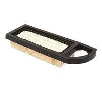 Briggs & Stratton 794422 Air Filter Cartridge