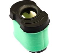 Briggs & Stratton Filter 310195, mehrfarbig