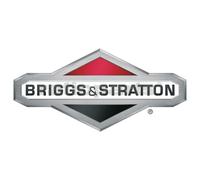 BRIGGS & STRATTON Luftfilter