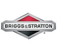 BRIGGS & STRATTON Vergaser