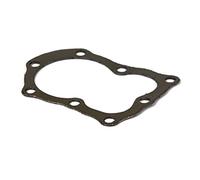 Briggs u. Stratton ZYLINDERKOPFDICHTUNG | 272157S | 024847238945