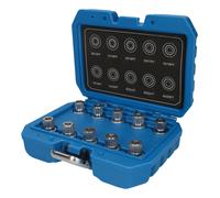 Felgenschloss-Sortiment für BMW, 10-tlg Brilliant Tools BT691290