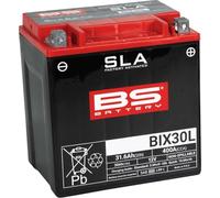 BS Battery 300631 BIX30L AGM SLA Motorrad Batterie, Schwarz