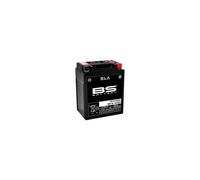 BS Battery 300759 BB14L-A2 AGM SLA Motorrad Batterie, Schwarz