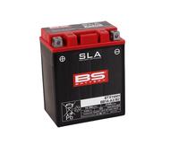 BS BATTERY SLA Wartungsfreie Batterie Werkseitig aktiviert - BTX14AH