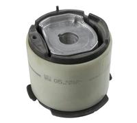 LEMFÖRDER 45036 01 Lagerung, Achsträger