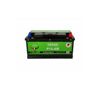 BullTron Polar 165Ah LiFePO4 12.8V Akku mit Smart BMS, Bluetooth App und Heizung - 0% MwSt
