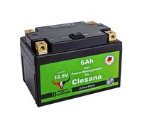 BullTron 6Ah Batterie für Clesana mit Power-Management inkl. Kabel