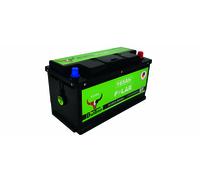 BullTron Polar 165Ah 12V LiFePO4 Batterie Polar-Version mit Heizung (0% MwSt)