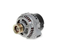 BV PSH 195.599.070.050 Lichtmaschine