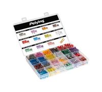 CARFIX Kfz-Flachsicherungen Set 250-teilig - Universal Auto-Sicherungssortiment Standard & Mini (2A-40A) mit Abzieher - Korrosionsbeständige Zinklegierung für PKW, LKW, Wohnmobil & Boot