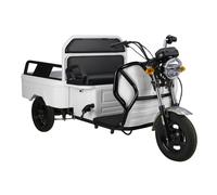 Cargo Compact Elektro Lastenrad Lasten-Dreirad offen, VT5-Mini 25km/h Weiß