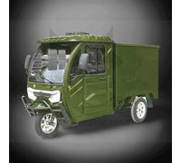 CARGO VOLT 3.0kW Elektro-Lastendreirad, 25 km/h Volta Vt5 mit Transportbox Grün