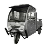 Cargo Volt Elektro Lastenrad Lasten-Dreirad Voll-Kabine Pritsche 45km/h 72V