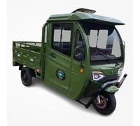 Cargo Volt XXL Drei-Rad Elektro Kabinenroller Cargo Pritsche Kippbar 25km/h COC