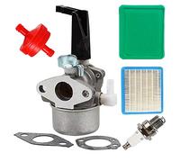 Carkio 696065 Vergaser-Set mit Dichtung, YL-991 Luftfilter, YL-999 Kraftstofffilter, YL-721 Zündkerze für Briggs Stratton 697422 110412 110402 Motorfräse Vergaser
