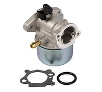 Carkio 799868 Vergaser mit Dichtung und O-Ring, Ersatz Compatible with Briggs & Stratton 498170 498254 497347 497314 Vergaser