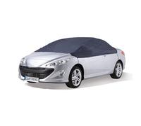 Halbgarage PKW 287x145x61cm Größe L