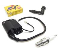 CDI Zündspule, NGK Zündkerze & Stecker passend für Piaggio Free, Sfera 50 80 NSL, TPH, Zip 2T