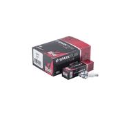 Champion Zündkkerze RJ19LM vergleichbar mit WR11EO 2513202 BS19LM Rasenmäher