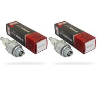 Champion Zündkerze RJ19LMC - langlebig & zuverlässig - hohe Qualität - für Motoren Briggs & Stratton Quantum (Packung mit 2)