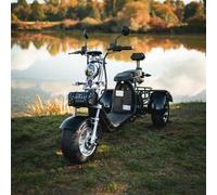 E-Scooter Scooter Elektroroller Roller mit Straßenzulassung StVZO Trike Chopper