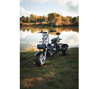 Coco Trike Bike E-Scooter Dreirad mit 60V 2000 Watt 55Ah Akku 45 km/h CP 3