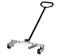 Compac - WD250 - Reifenmontiergeraet 250kg
