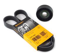 CONTI Keilrippenriemen + Spannrolle für Audi A3 Seat Skoda VW 1.9 2.0 TDI