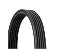 Keilrippenriemen Continental CTAM 6DPK1697