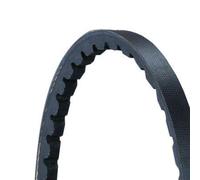 Keilrippenriemen CONTINENTAL AVX10X975