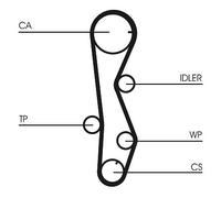 CONTINENTAL CTAM CT1099WP1 Wasserpumpe + Zahnriemensatz