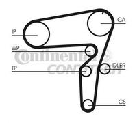 CONTINENTAL CTAM CT1105WP2 - Wasserpumpe + Zahnriemensatz