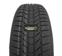 CONTINENTAL Winterreifen 255/40 R 19 XL TL 100V WINTERCONTACT TS 870 P (EVc) FR