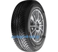 Cooper Discoverer Winter ( 205/45 R17 88V XL )