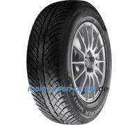 Cooper Discoverer Winter ( 205/45 R17 88V XL )