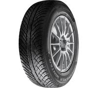 Cooper Discoverer Winter ( 205/60 R16 96H XL )