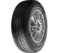Cooper Discoverer Winter 205/60 R17 93H PKW Winterreifen Reifen 591644